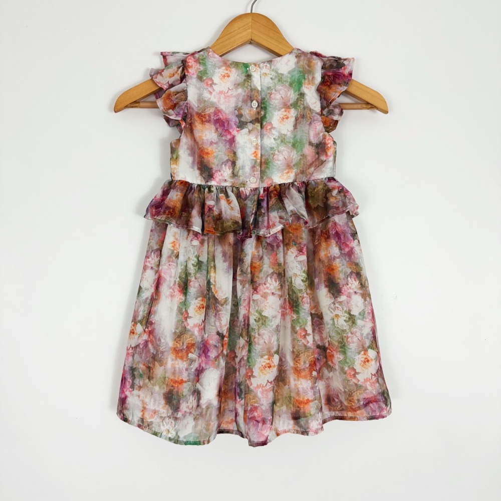 Sheer Botanical Ruffle Dress | 5T - Picture 2 of 3